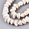 Natural Sea Shell Beads Strands SHEL-Q028-02-3