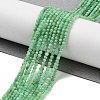 Natural Chrysoprase Beads Strands G-B088-C19-02-2