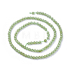 Natural Peridot Beads Strands G-F619-06-2mm-2