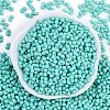 Baking Paint Glass Seed Beads SEED-K010-A19-3