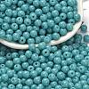 Opaque Colours Glass Seed Beads SEED-C001-02B-16-1