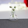 Transparent Miniature Glass Vase Bottles BOTT-PW0006-04H-1