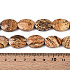 Natural Picture Jasper Beads Strands G-S354-13x18-A06-5