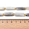 Natural Botswana Agate Beads Strands G-D353-A11-5