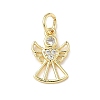 Brass Micro Pave Cubic Zirconia Charms LS-ZIRC-I356-40G-1