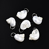 Natural Spiral Shell Pendants X-SHEL-N036-11-1