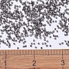 MIYUKI Delica Beads SEED-MY11-DB1319-4