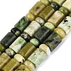Natural Serpentine Beads Strands G-Q616-09H-2