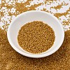 MIYUKI Delica Beads SEED-X0054-DB0272-2