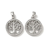 Brass Micro Pave Cubic Zirconia Pendents KK-R210-21P-01-1
