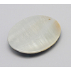 Abalone Shell/Paua Shell Pendants SSHEL-N001-113-2