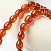 Oval Natural Carnelian Beads Strands G-D622-06-A-2