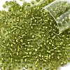 10G Glass Seed Beads SEED-YW0003-11E-1