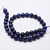 Natural Lapis Lazuli Beads Strands G-G736-22-8mm-2