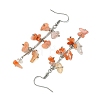 Natural Agate Dangle Earrings for Women EJEW-TA00553-04-4