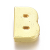 Alloy Slide Charms PALLOY-WH0069-02B-G-1