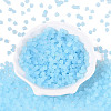 FGB Frosted Transparent Glass Seed Beads SEED-N013-03A-11-2