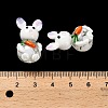 Handmade Lampwork Beads Strands LAMP-A005-02-5
