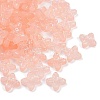 Frosted Transparent Acrylic Beads OACR-P029-09B-02-2