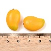 Fruit Series Opaque Resin Beads RE-CBAC4C7-11E-3