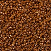MIYUKI Delica Beads SEED-MY11-DB2109-3
