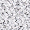 FGB Inside Colours Transparent Glass Seed Beads SEED-T009-01L-2