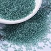 MIYUKI Round Rocailles Beads SEED-JP0008-RR2445-1