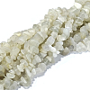 Natural White Moonstone Chip Beads Strands X-G-E271-112-2