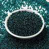 MIYUKI Round Rocailles Beads SEED-JP0009-RR3744-2