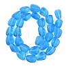 Frosted Handmade Lampwork Beads Strands LAMP-Q041-06B-2