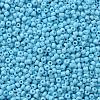 Glass Seed Beads SEED-A010-2mm-43-2