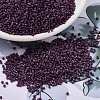 MIYUKI Delica Beads SEED-J020-DB2360-1