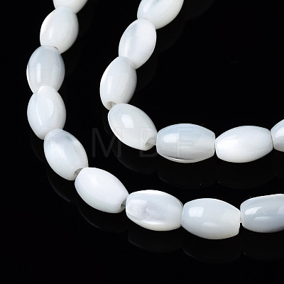 Natural Trochid Shell/Trochus Shell Beads Strands SSHEL-S266-021A-01-1