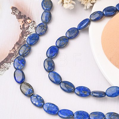 Natural Lapis Lazuli Beads Strands G-K311-12B-02-1