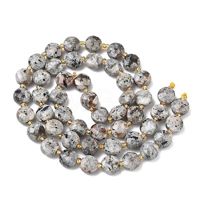Natural Syenite Beads Strands G-K389-B86-01-1