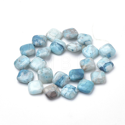 Natural Crazy Agate Beads Strands G-Q974-14B-1