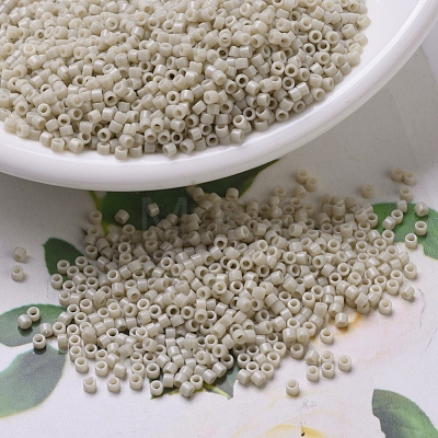 MIYUKI Delica Beads SEED-J020-DB0261-1