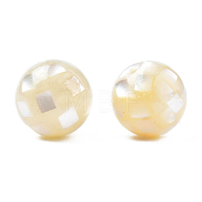 Natural White Shell Beads SHEL-N026-189B-05-1