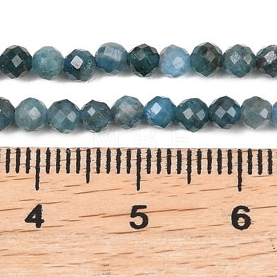 Natural Apatite Beads Strands G-P612-C-3mm-02-1