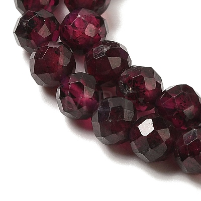 Natural Garnet Beads Strands G-F460-28-01-1