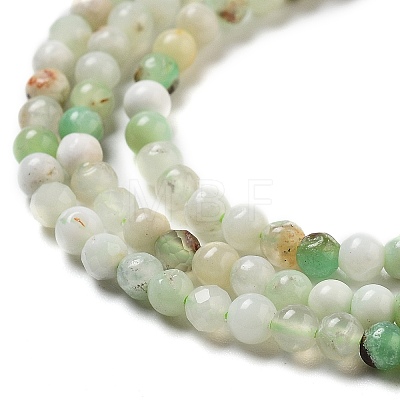 Natural Serpentine Beads Strands G-G161-D24-01-1