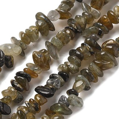 Natural Labradorite Beads Strands G-P332-23-1