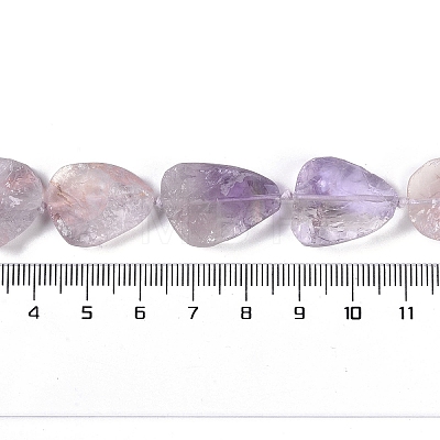 Natural Ametrine Beads Strands G-Q164-E02-01-1