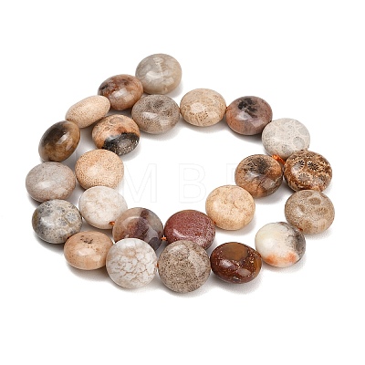 Natural Fossil Coral Beads Strands GG-CBA362F-02-1