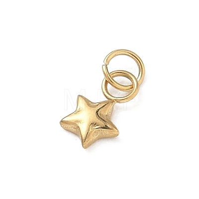 304 Stainless Steel Charms STAS-B140-04G-1