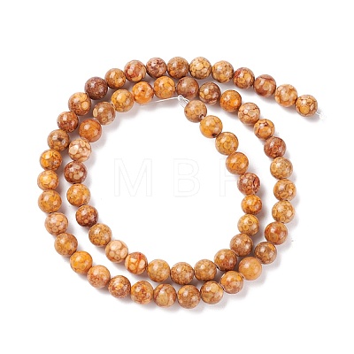Natural Maifanite/Maifan Stone Beads Strands G-P451-01B-C-1
