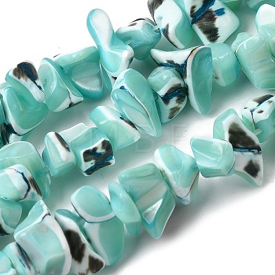Natural Trochid Shell/Trochus Shell Beads Strands SHEL-B003-02K-1