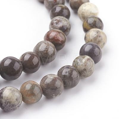 Natural Gemstone Beads Strands G-D062-6mm-1-1