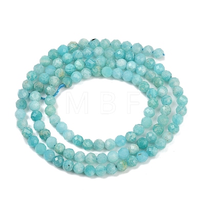Natural Amazonite Beads Strands LS-G-P572-B04-A-1