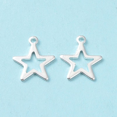 304 Stainless Steel Charms STAS-L234-095S-1